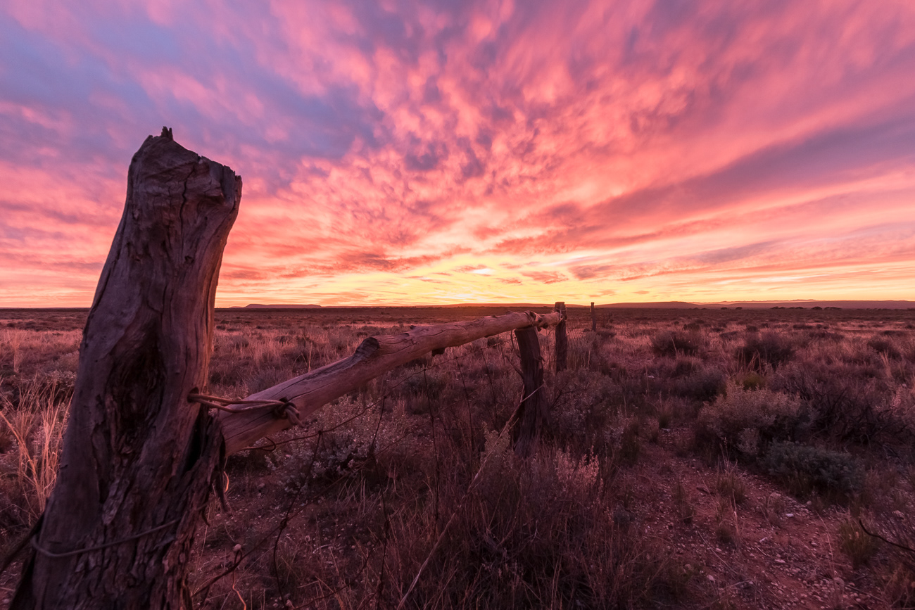 Bold Bush Sunset - Outback Highway SA Australia.  Taken at a freecamp on the side of the Outback Highway in South Australia - Image taken 31-5-21