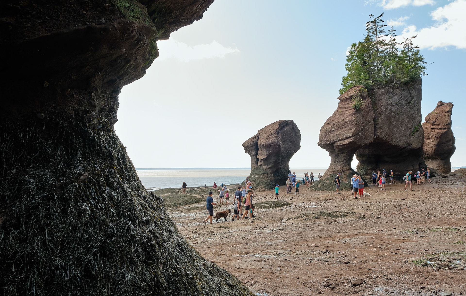 Voyage en Nouvelle Écosse 2019