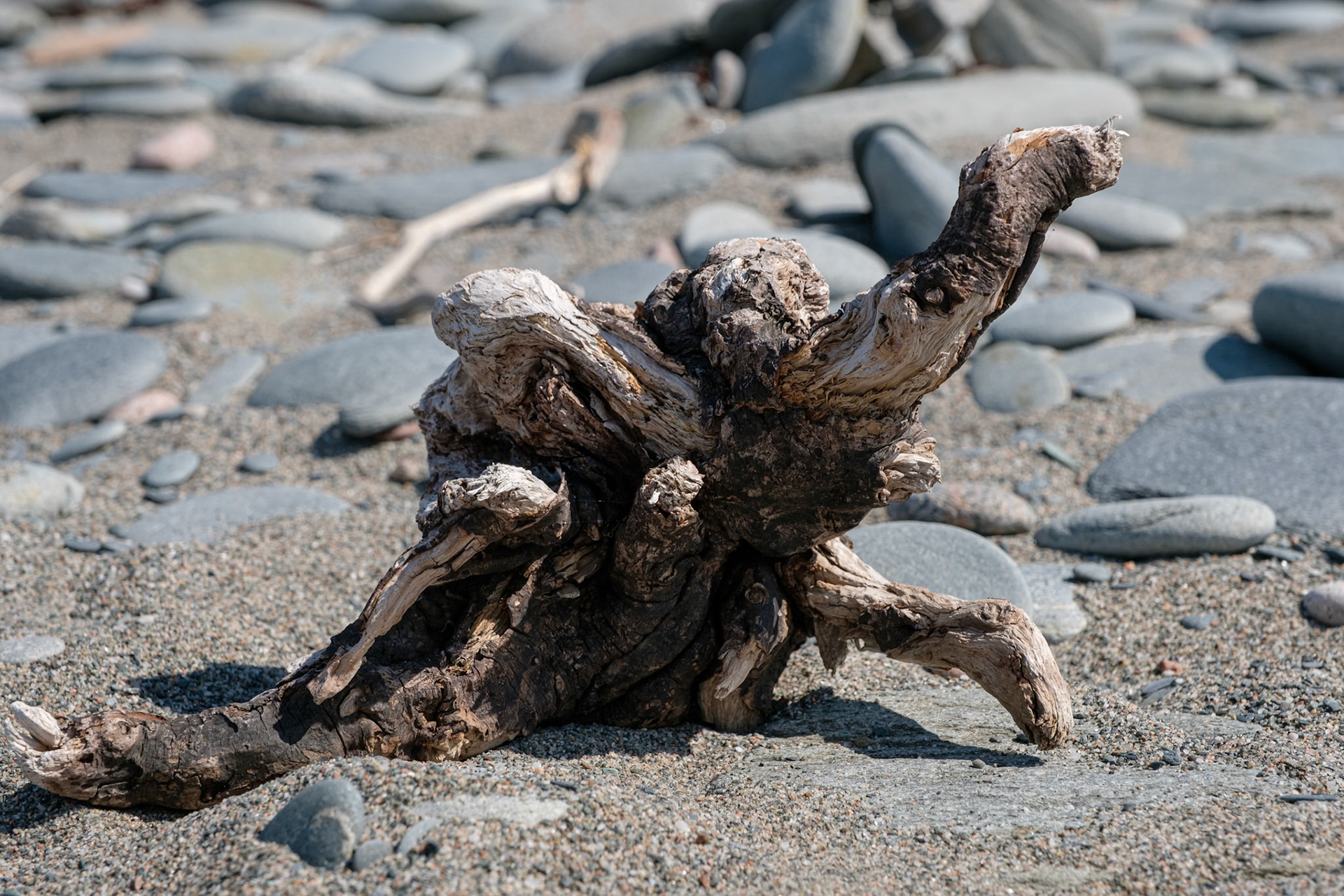 Voyage en Nouvelle Écosse 2019