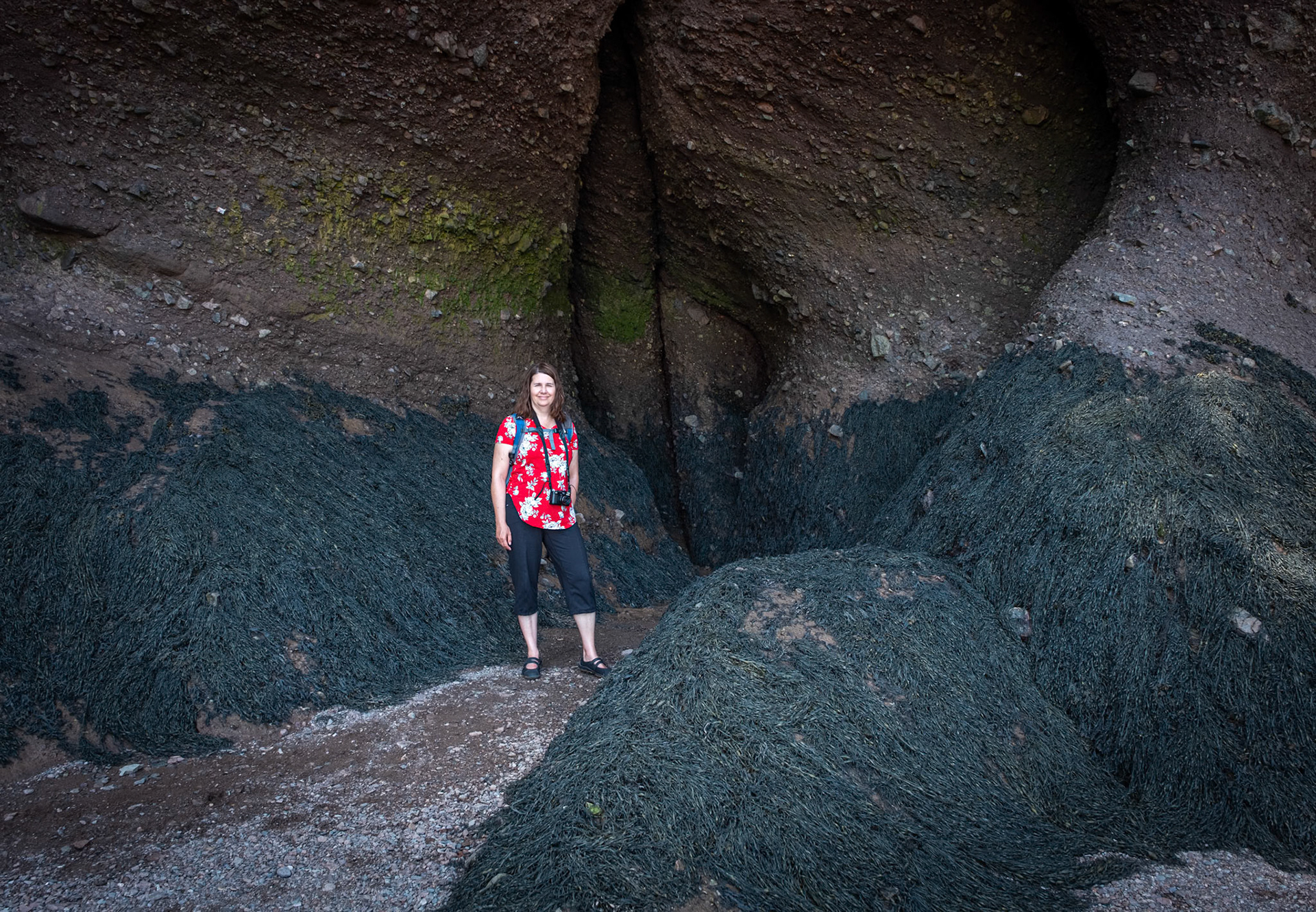 Voyage en Nouvelle Écosse 2019