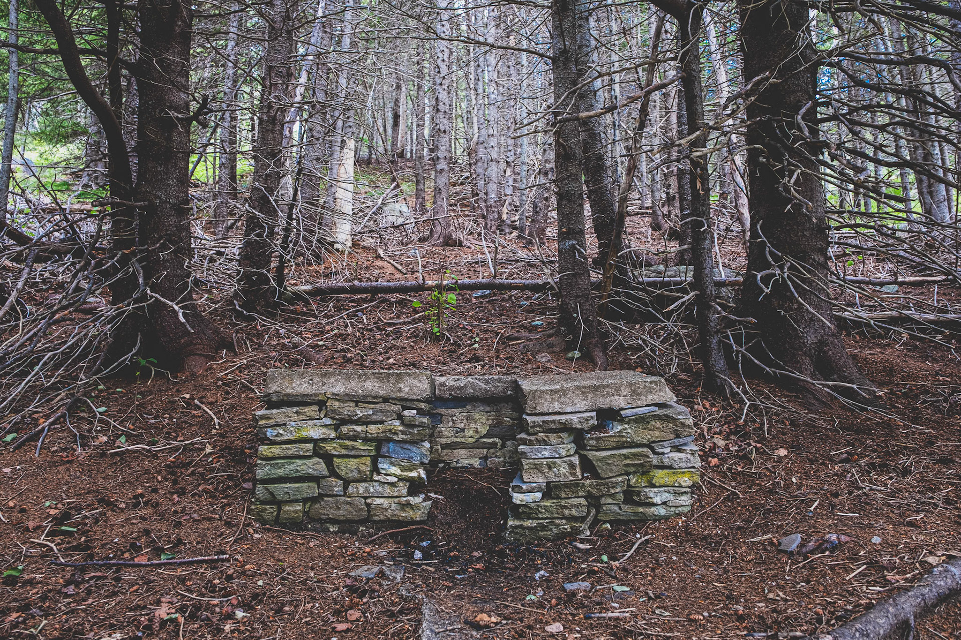 Voyage en Nouvelle Écosse 2019