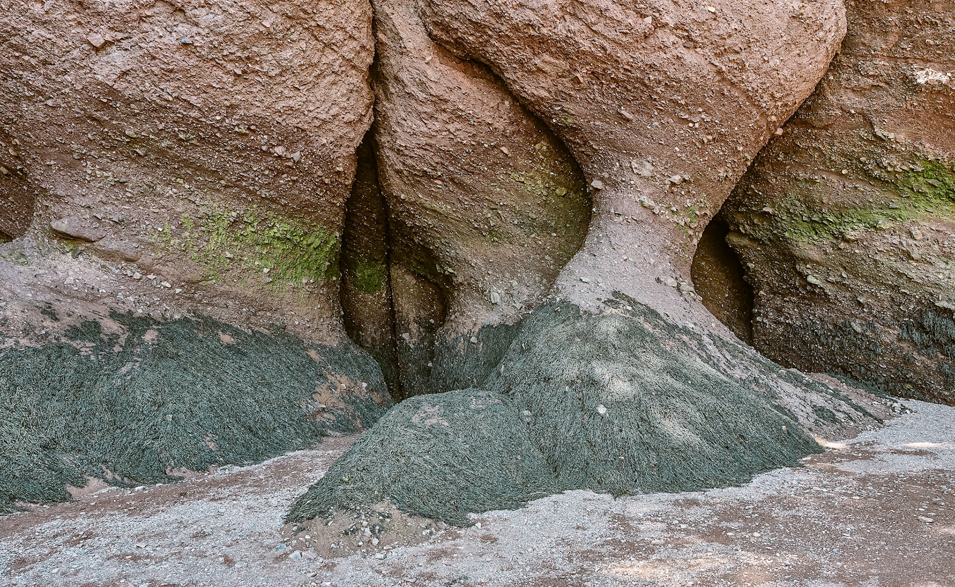 Voyage en Nouvelle Écosse