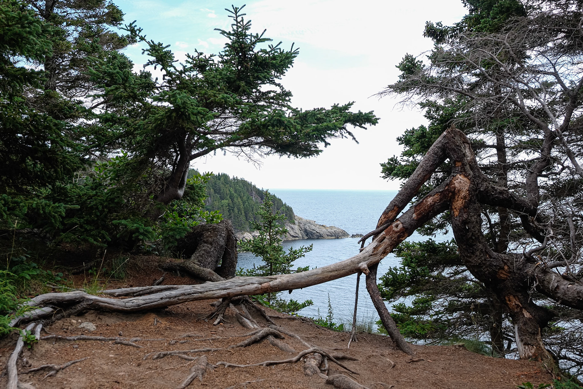 Voyage en Nouvelle Écosse