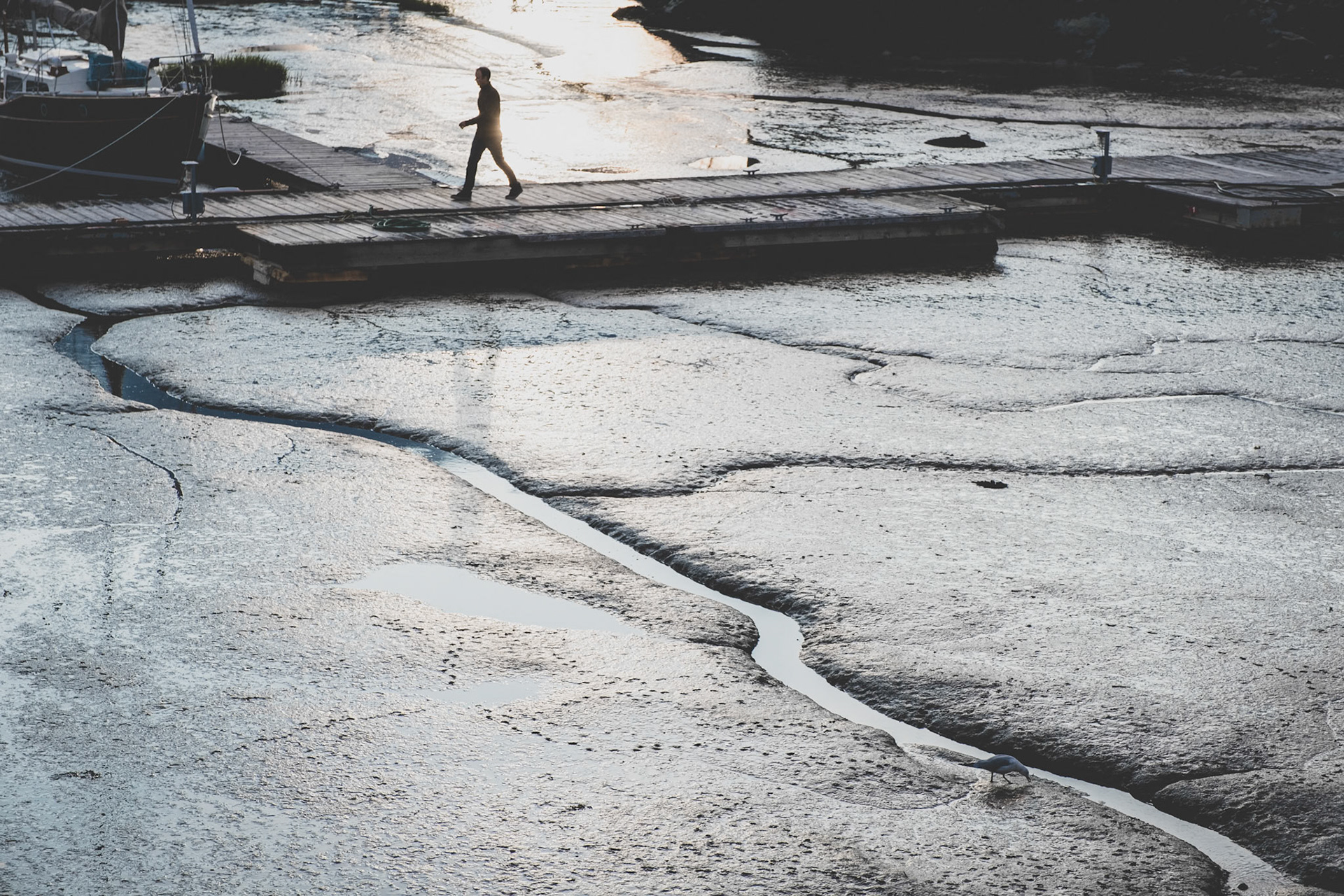 Voyage en Nouvelle Écosse 2019