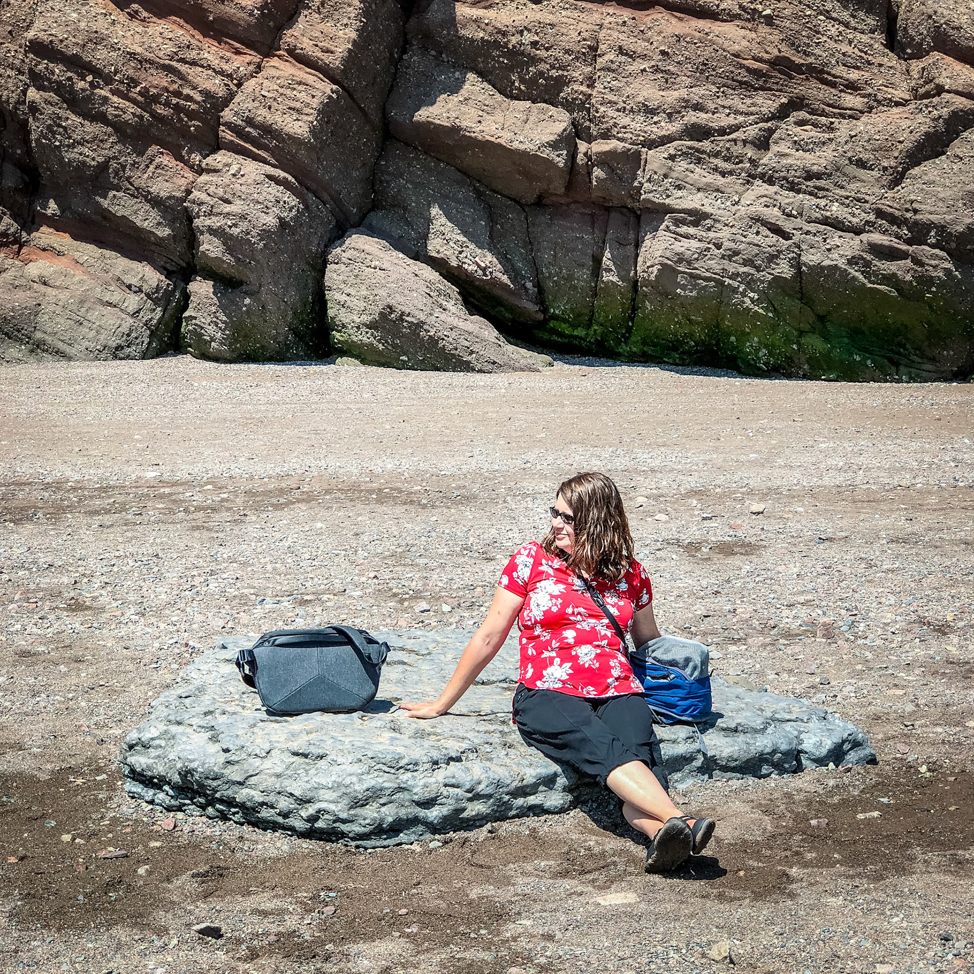 Voyage en Nouvelle Écosse 2019