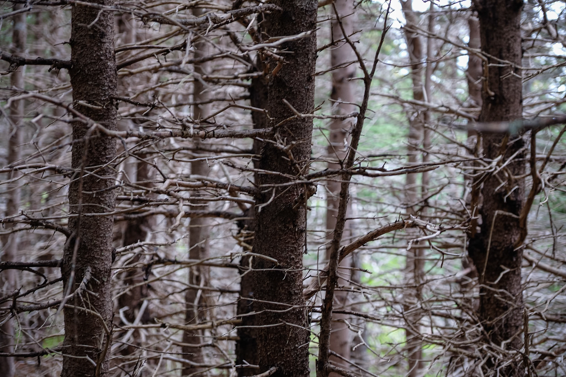 Voyage en Nouvelle Écosse