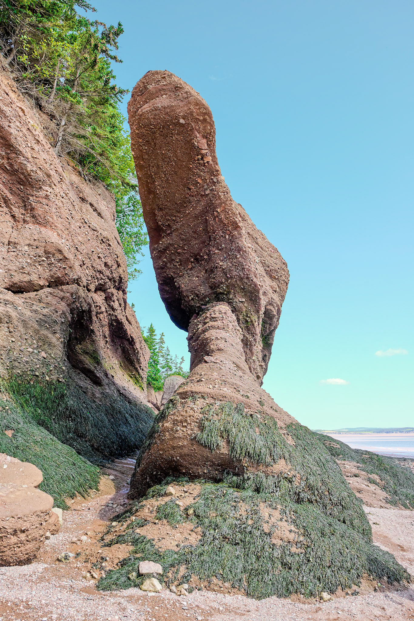 Voyage en Nouvelle Écosse 2019