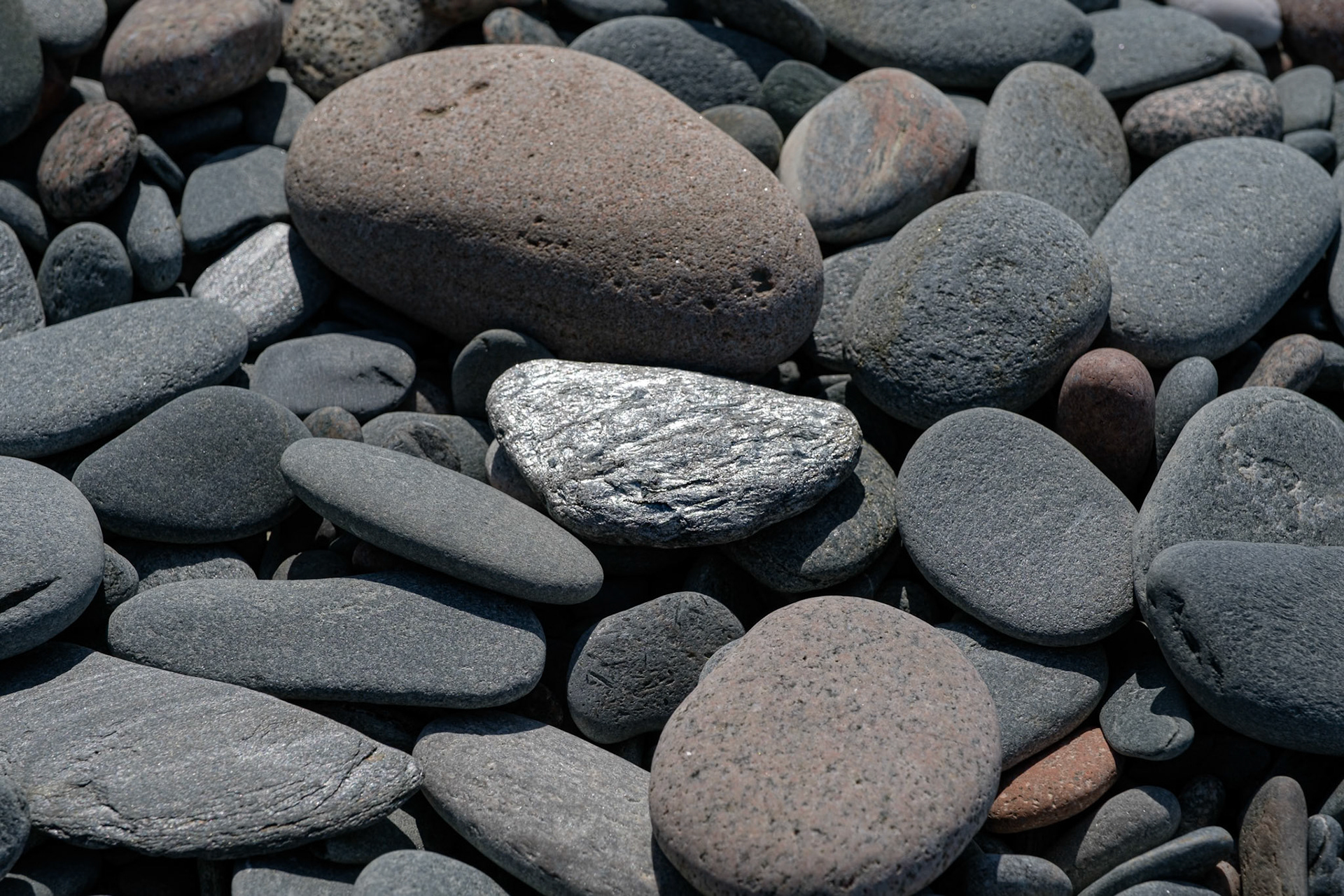 Voyage en Nouvelle Écosse 2019