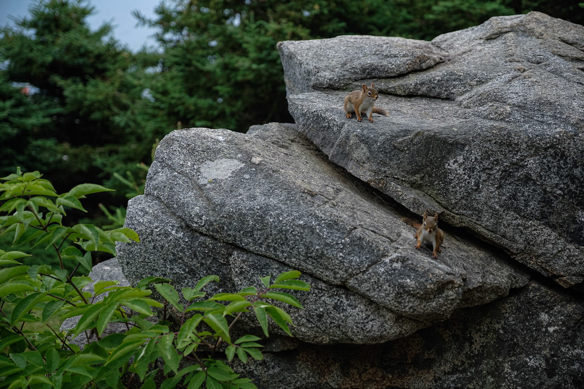 Voyage en Nouvelle Écosse