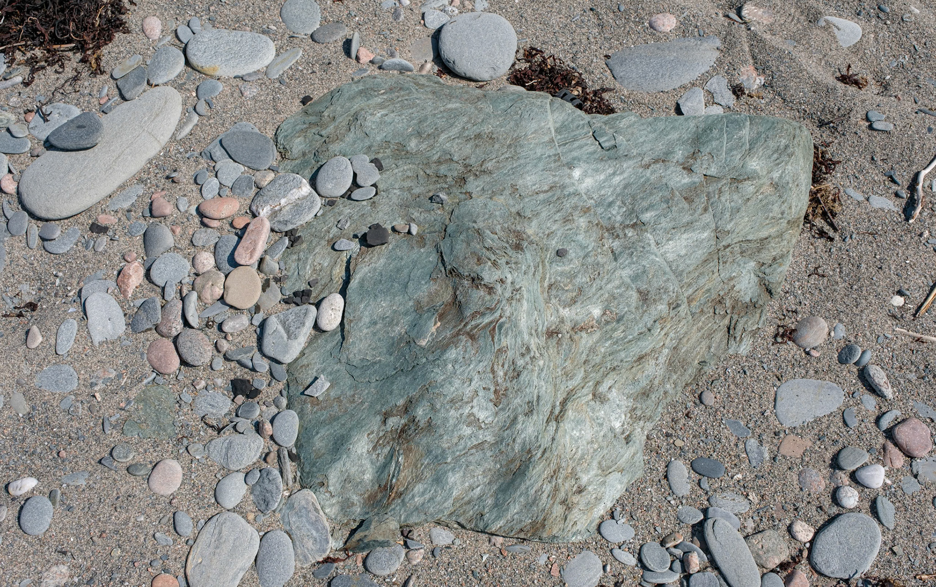 Voyage en Nouvelle Écosse 2019