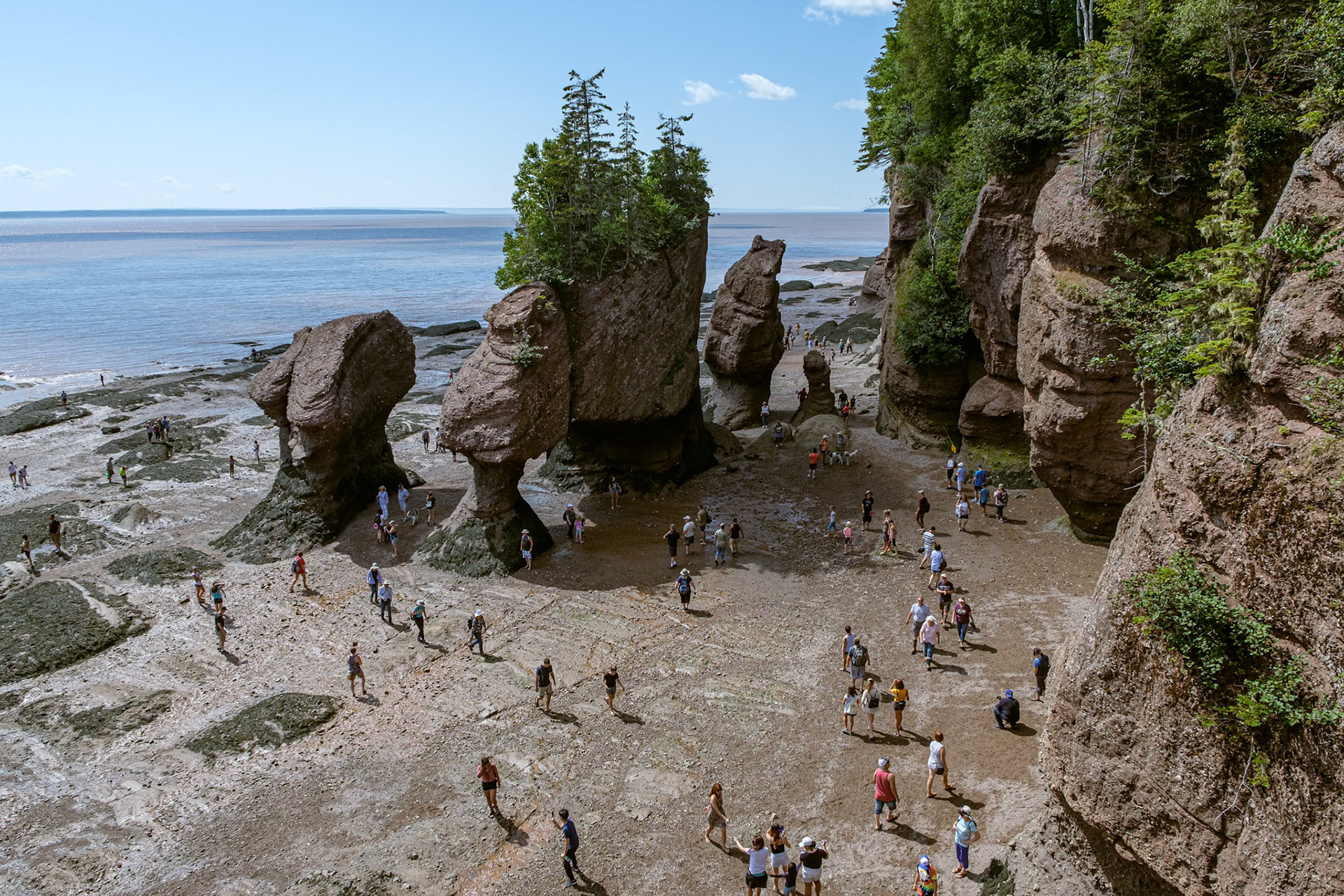 Voyage en Nouvelle Écosse 2019