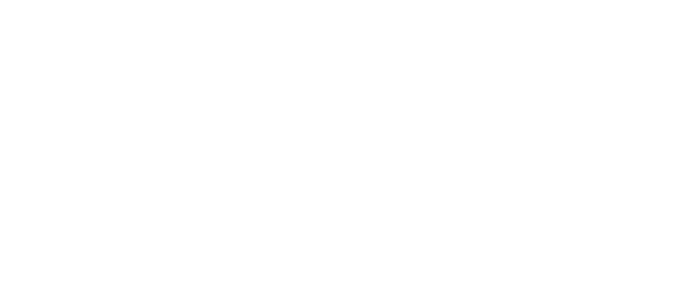 Pixbyron - The Doodly Doodle Doo Store