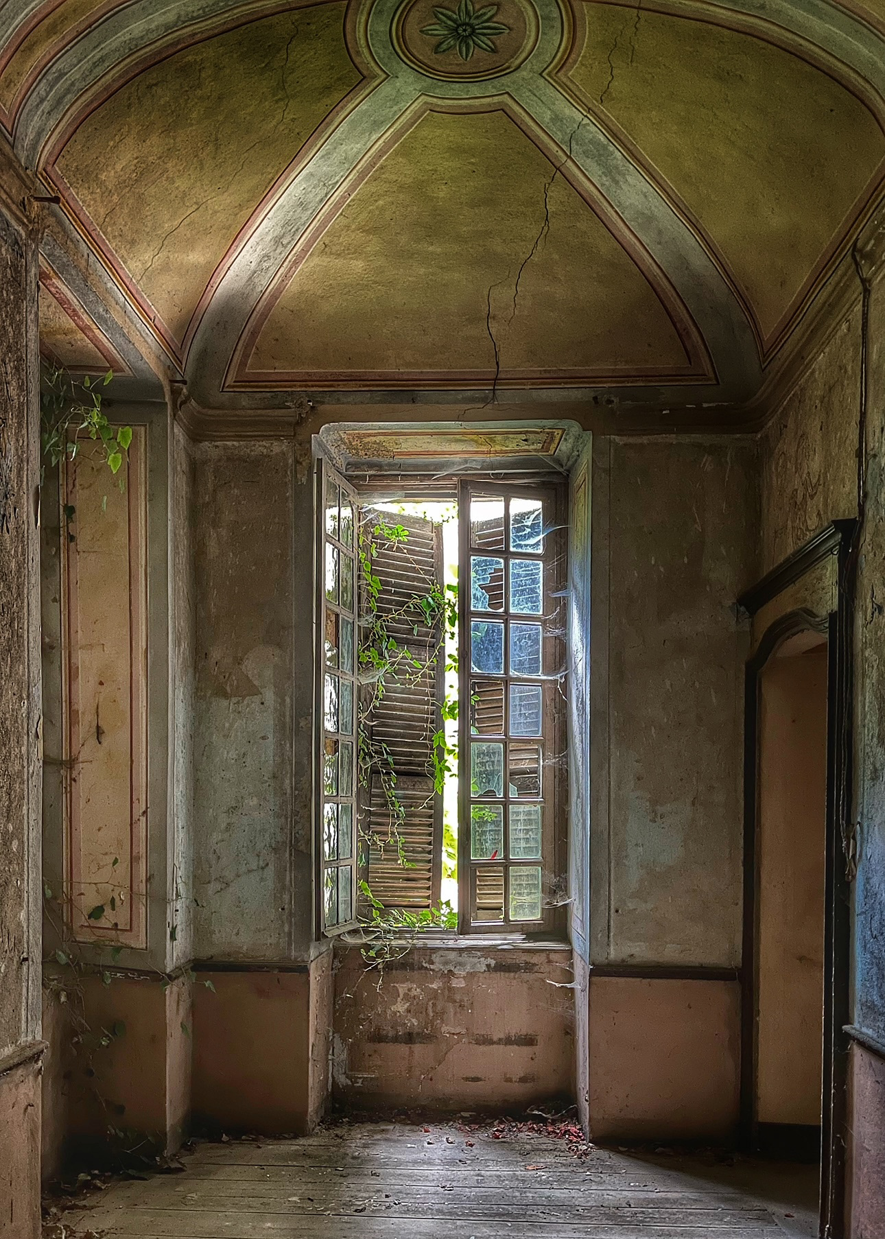 Window