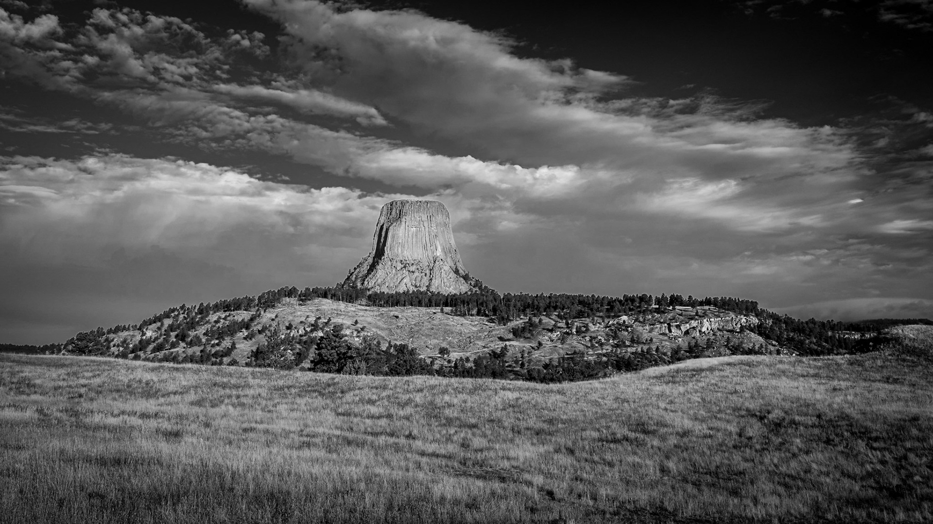 Devil's Tower - Distant View