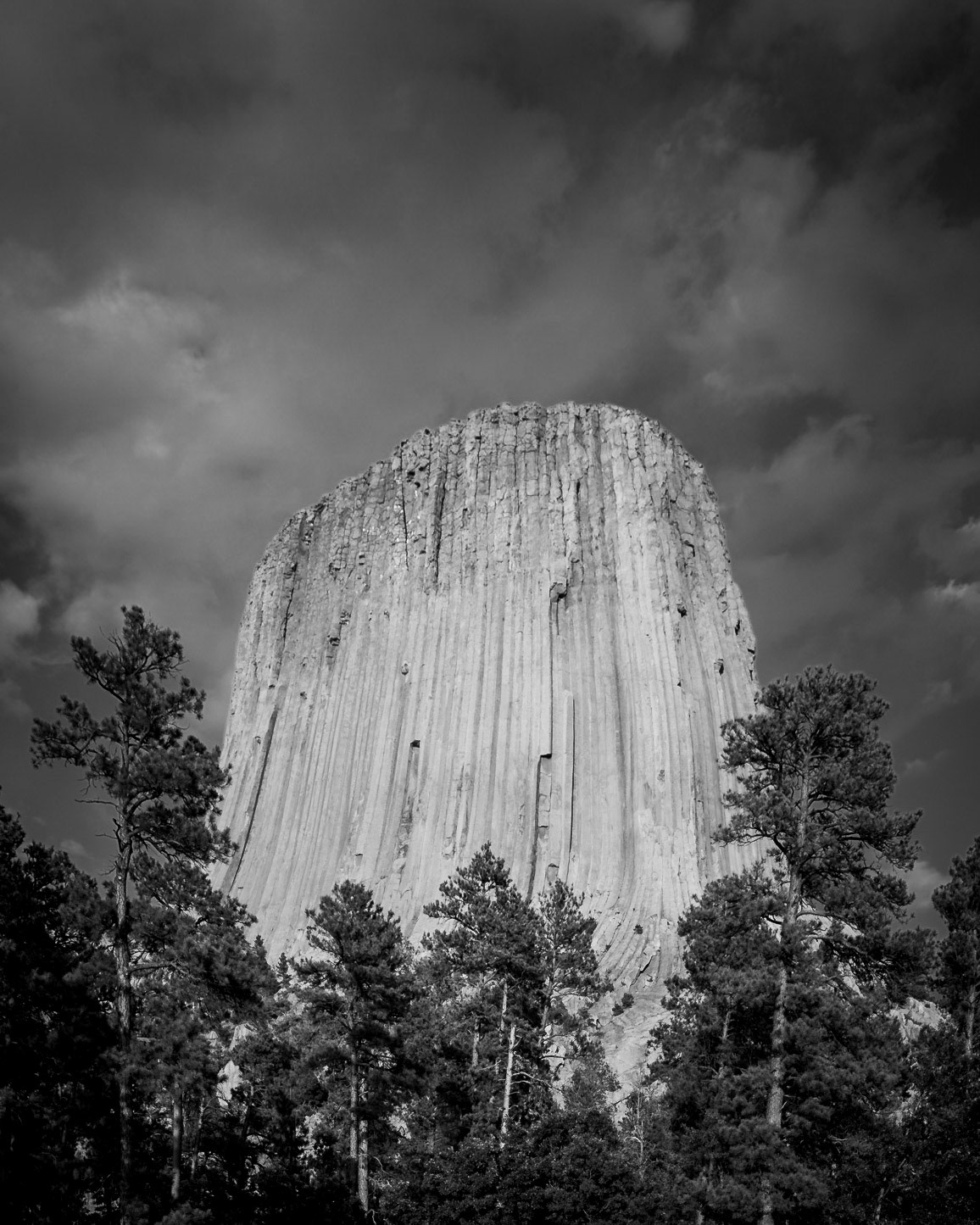 Devil's Tower - Out from the Woods