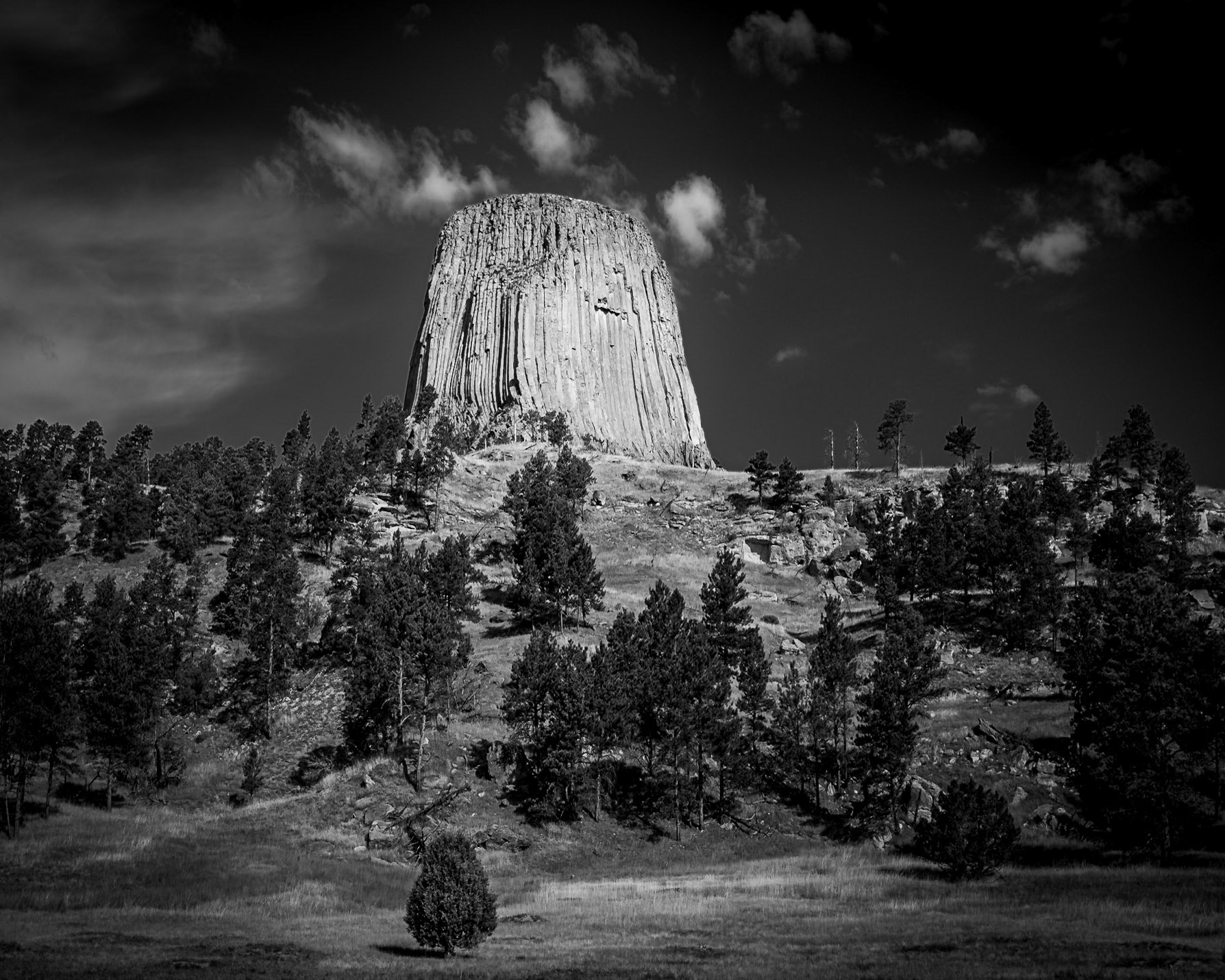 Devil's Tower - Face of the Giant Above the Trees