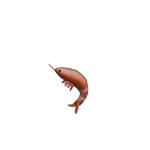 Shrimp - Idle