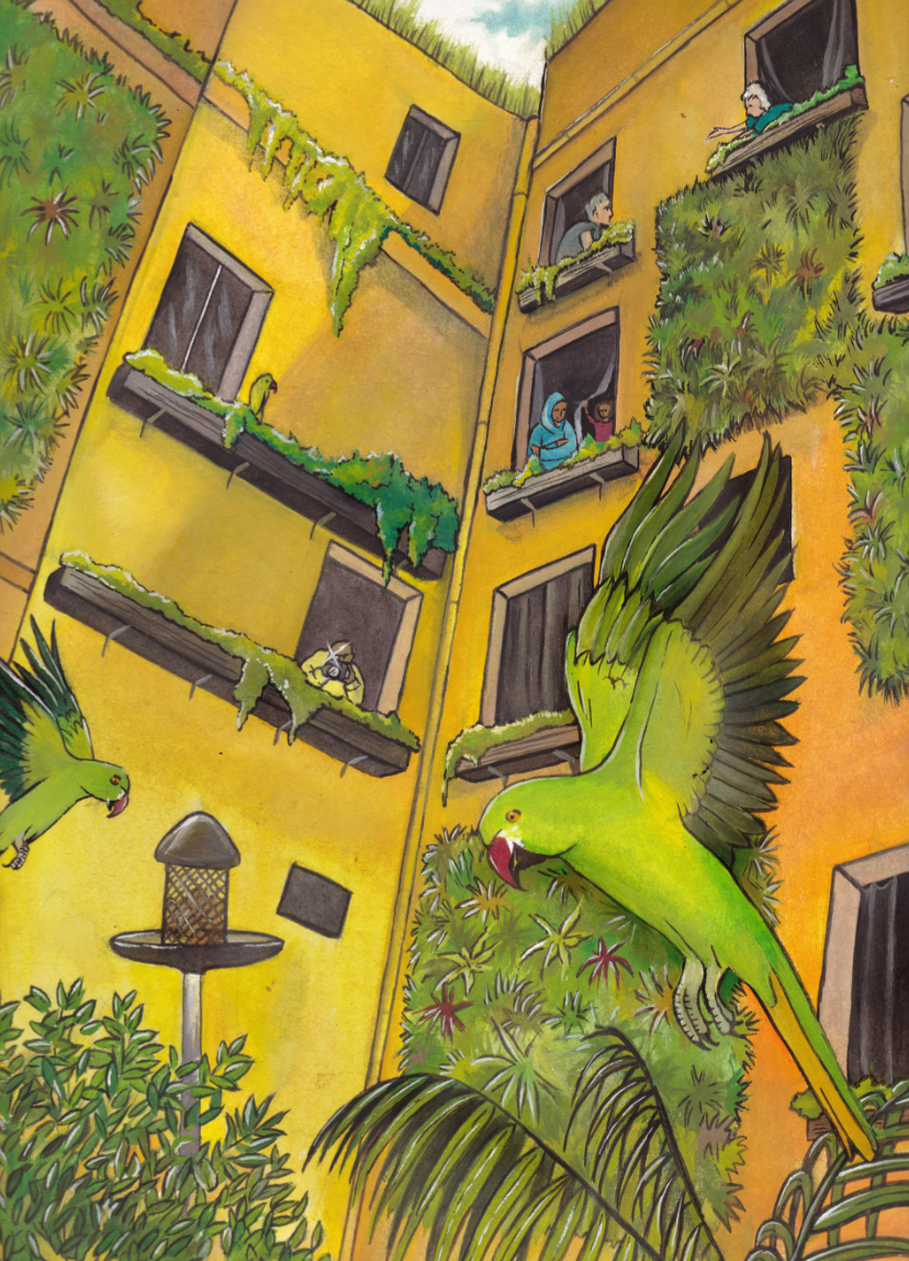 WWF "Just Image" project, editorial illustration