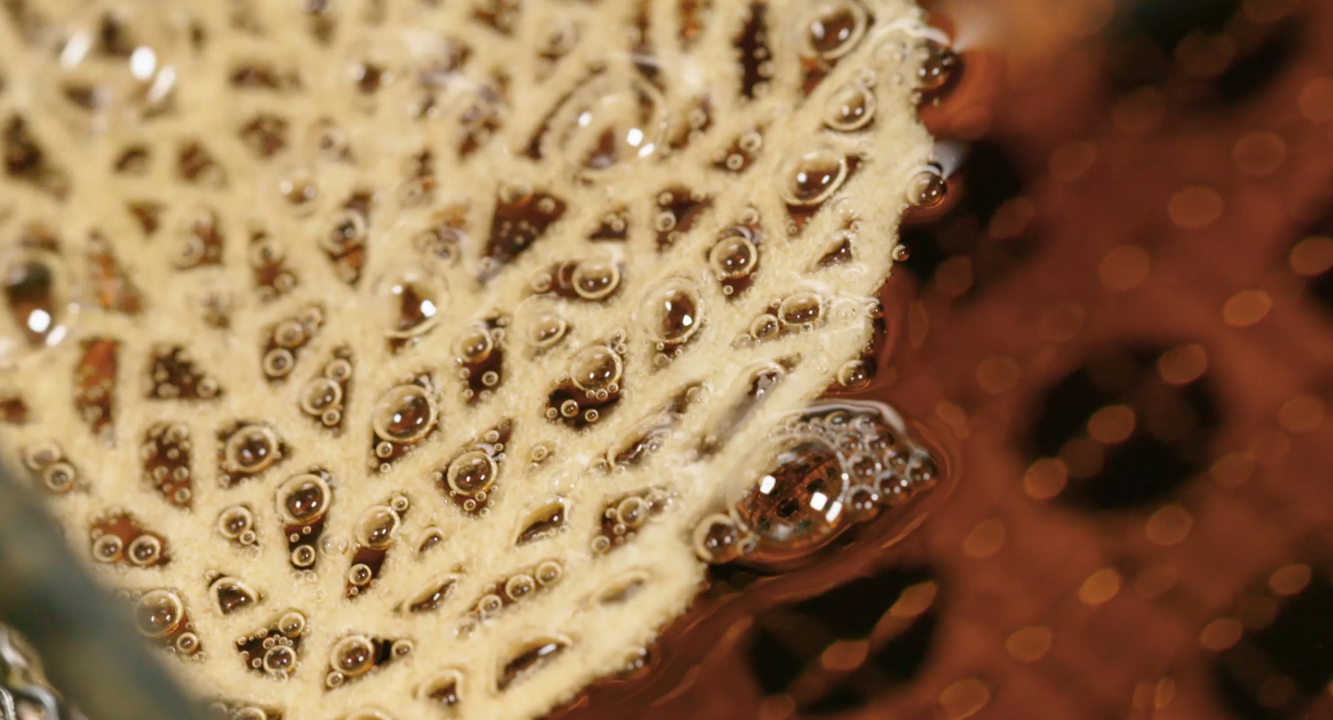 Pavoni Italia | 2019