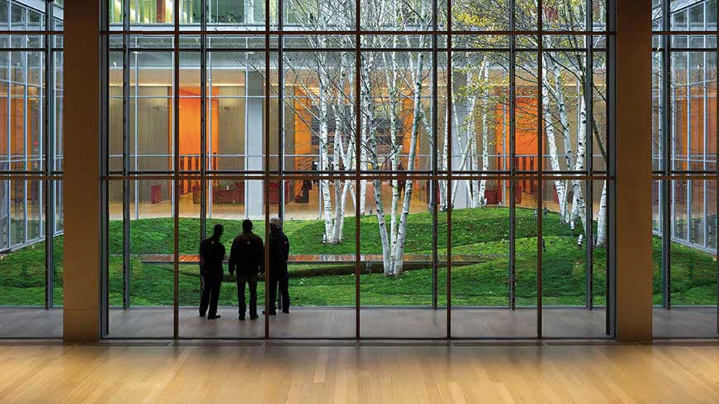 Moss and birch garden in the NY Times Building by Renzo Piano