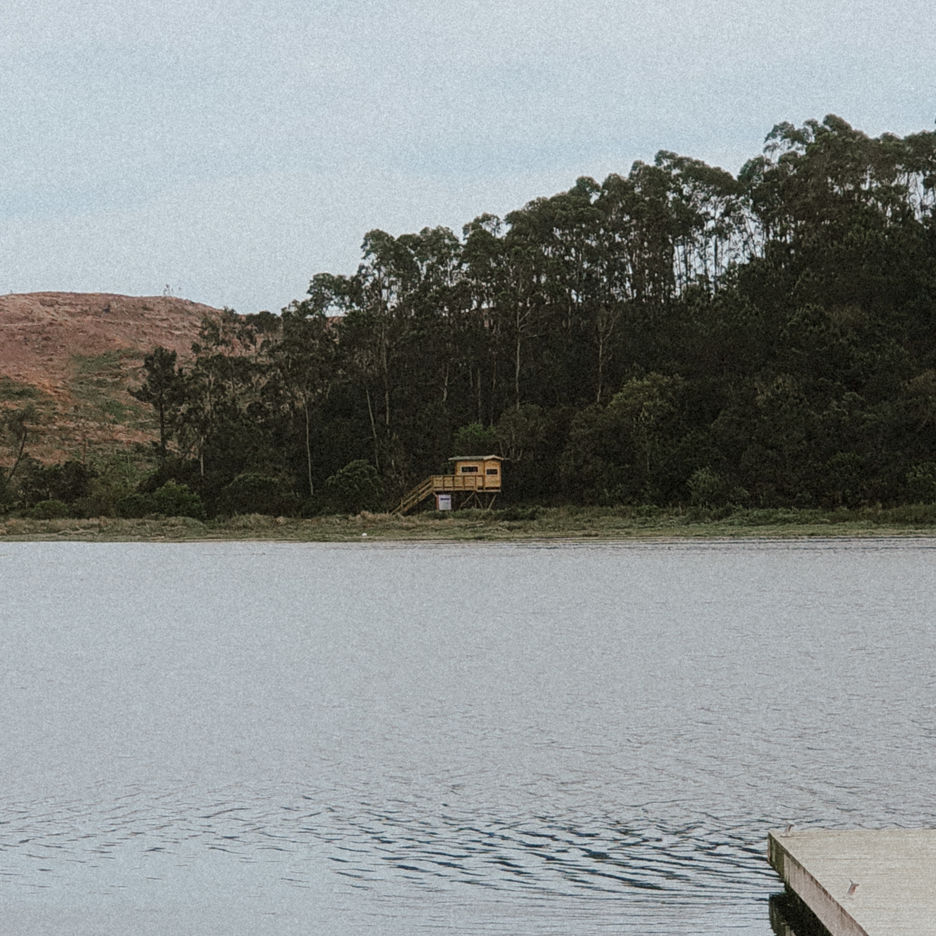 2024 IN A NUTSHELL Spotify Playlist by Tiago Martinho and Bruno Zacarias