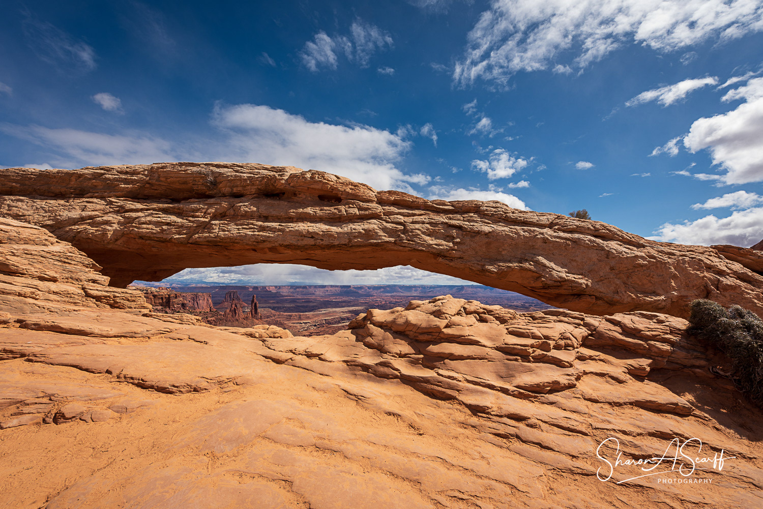Mesa Arch