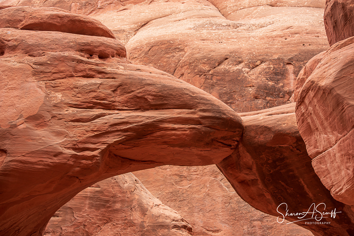 Close up of Sand Dune Arch