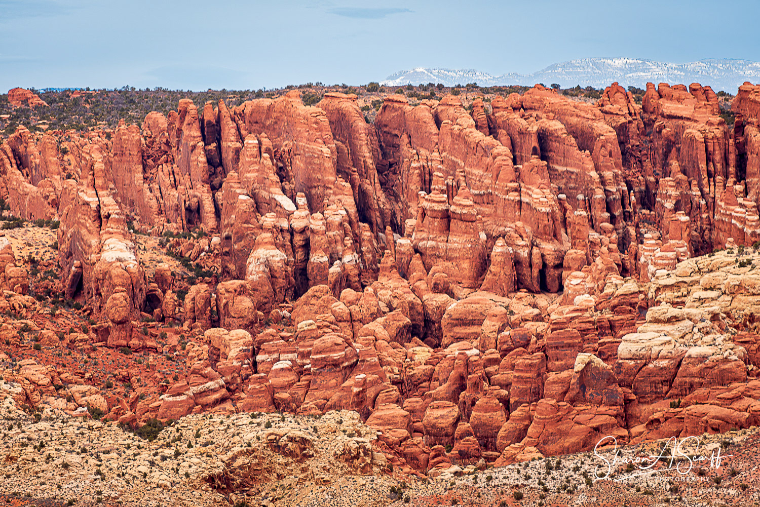 Fiery Furnace