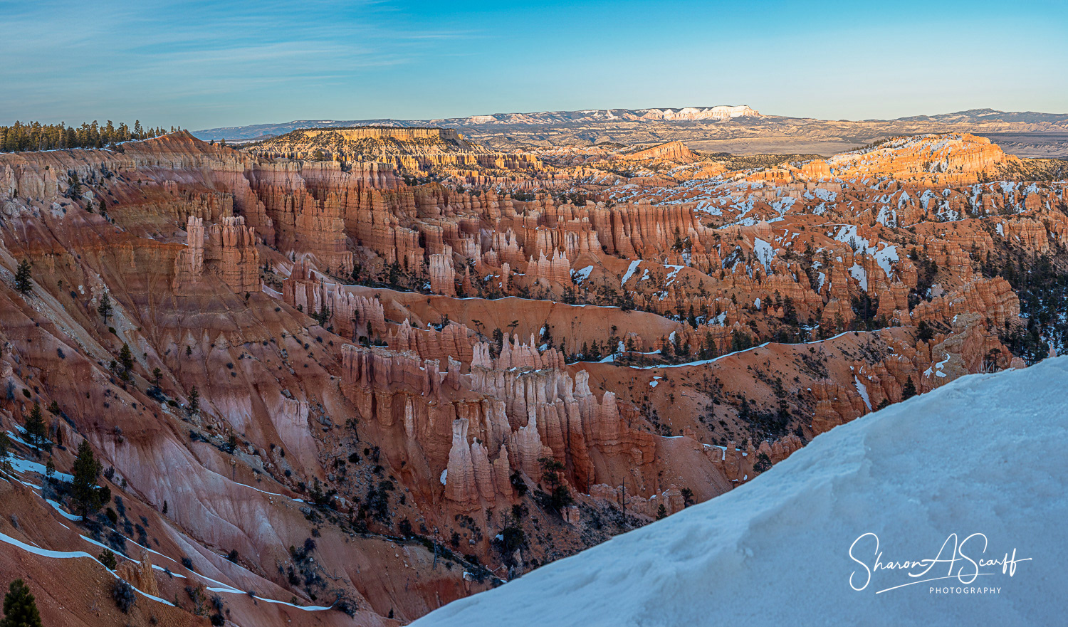 Bryce Point
