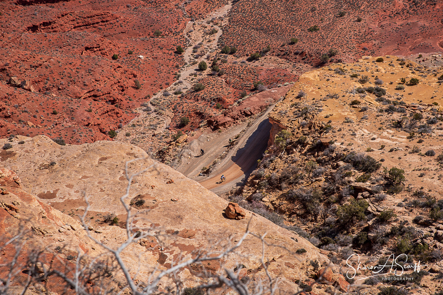 Bicyclists also navigate Moki.