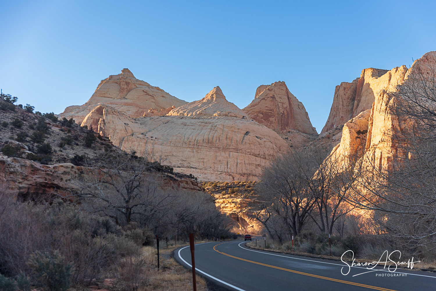 Navajo Dome