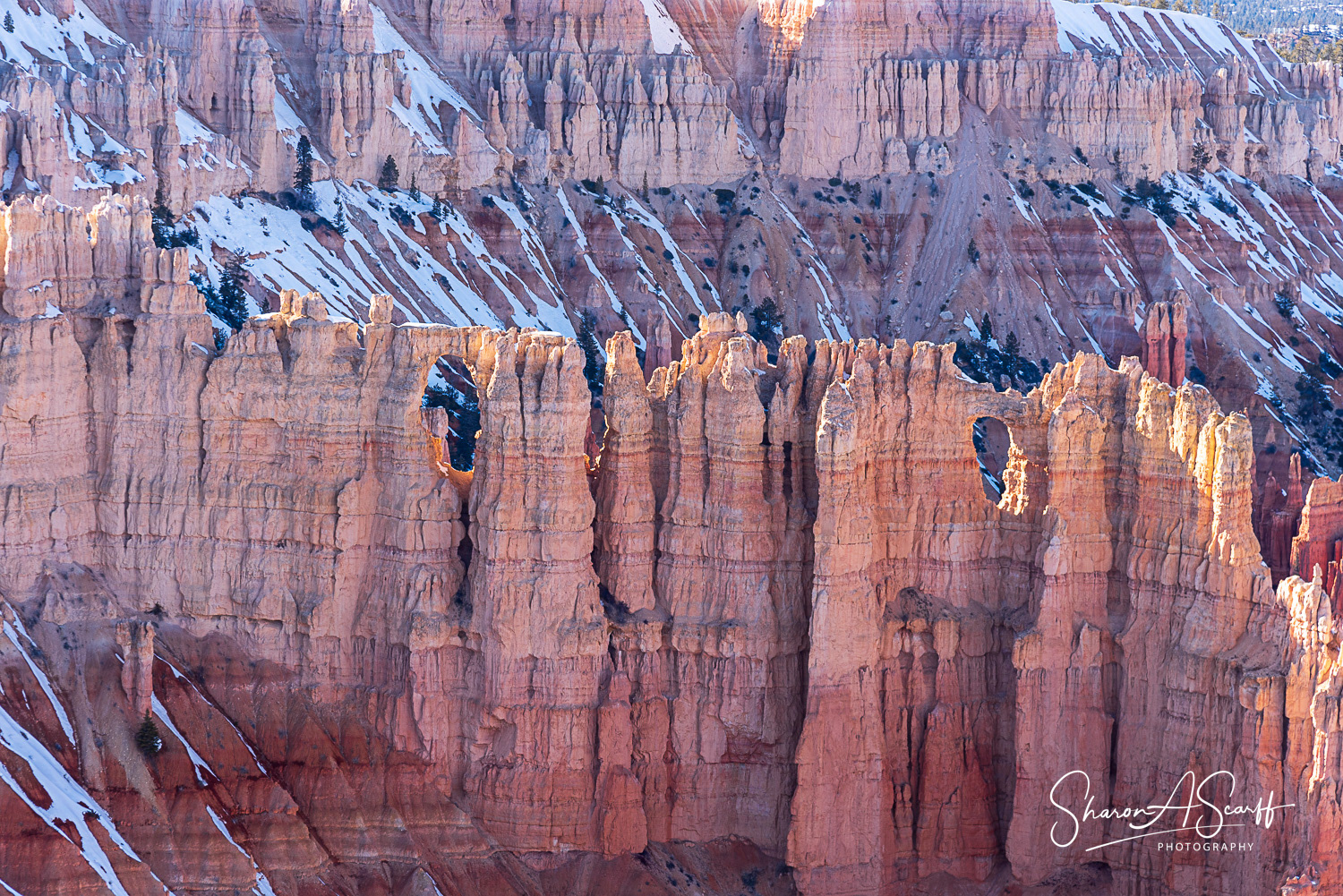 An example of Canyon Wall, Windows & Hoodoos.
