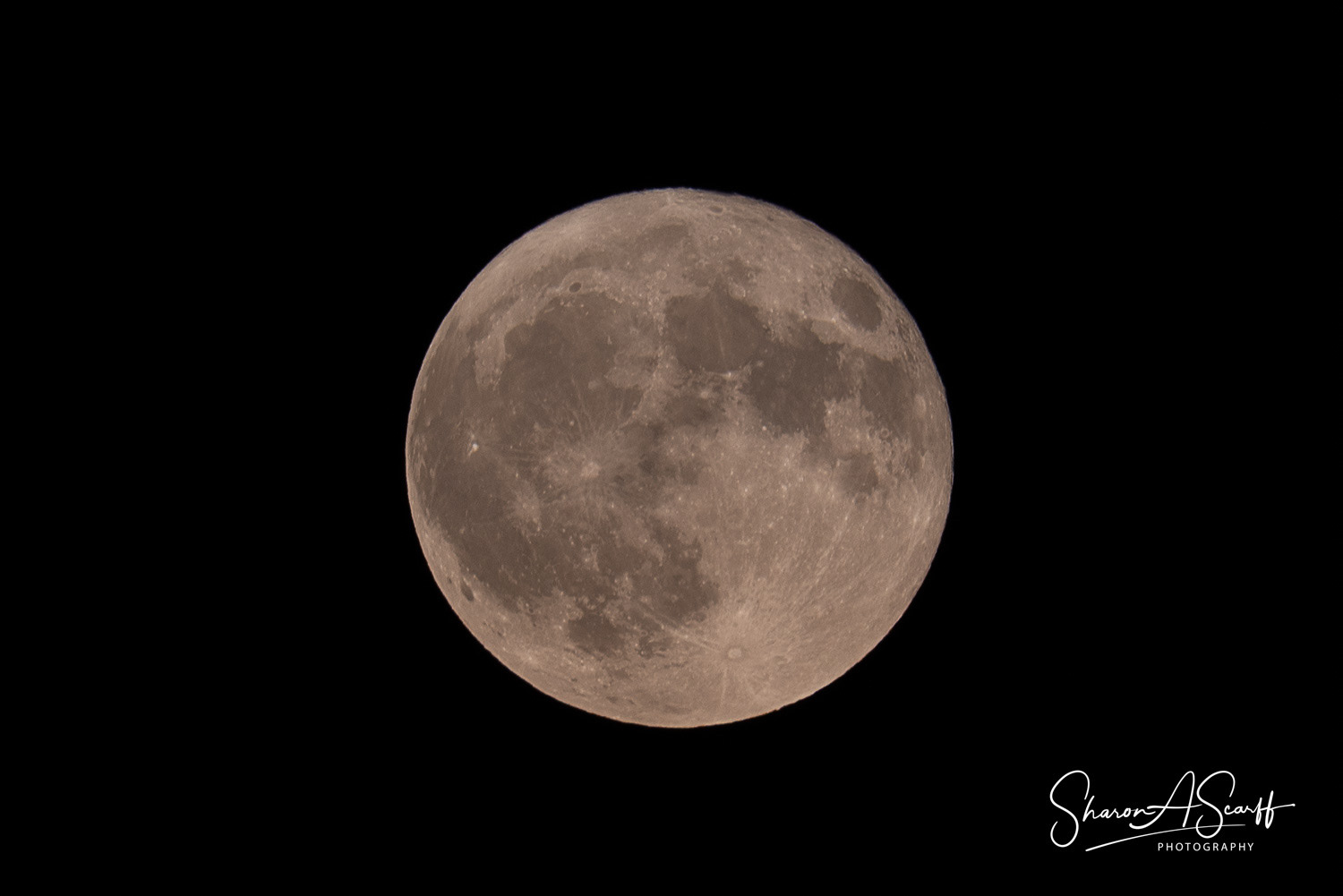 Full Sturgeon Moon, Super Moon, Blue Moon 8/19/24