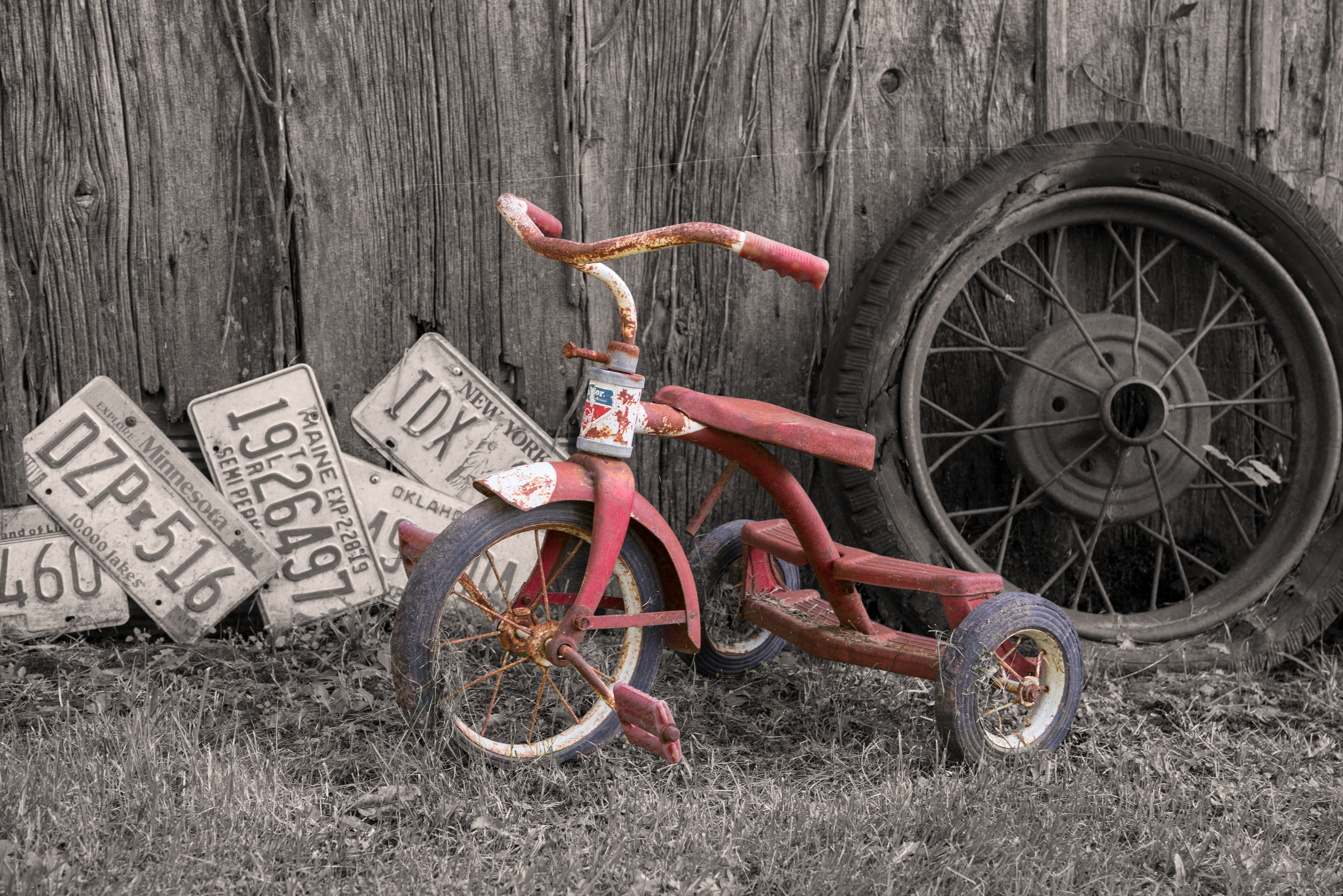 Going Places (trike in color)