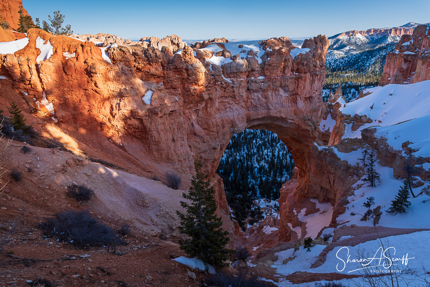 Natural Bridge