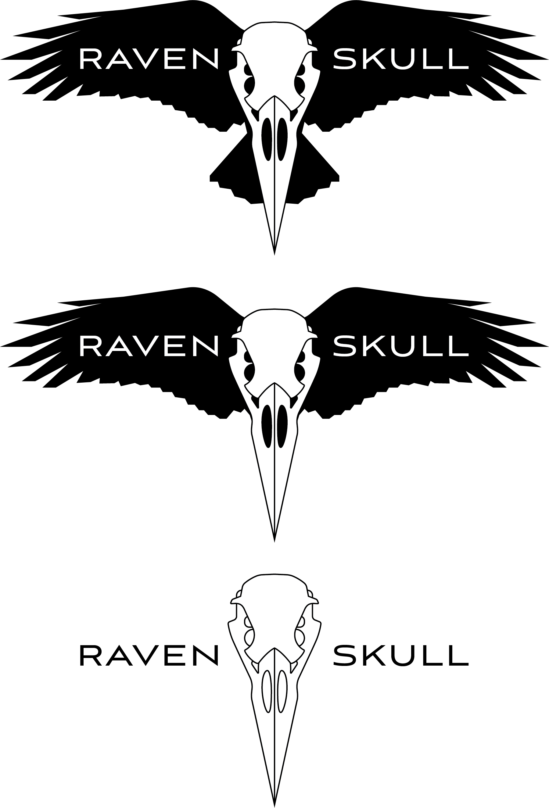 Raven Skull Studios