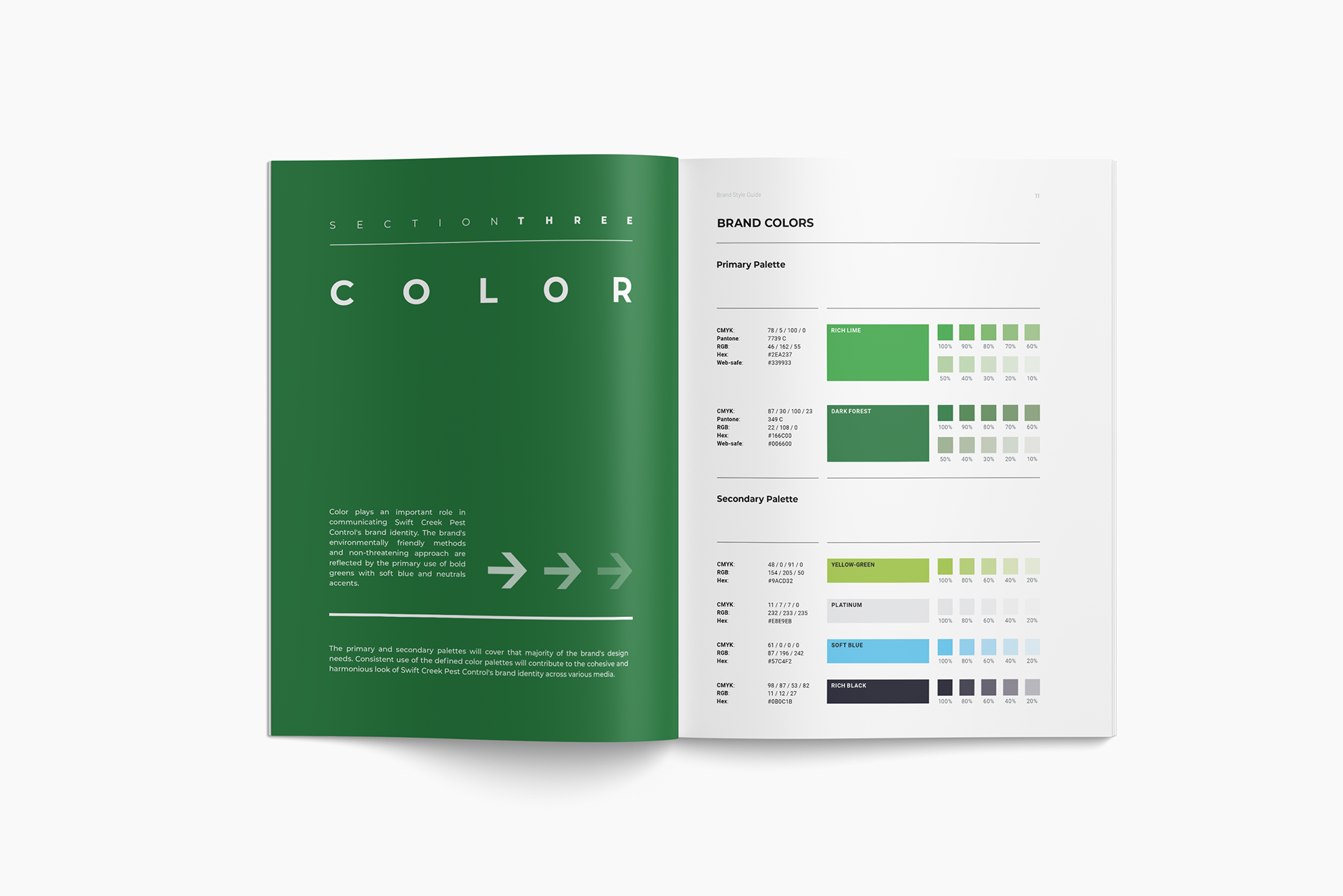 Brand Style Guide: Pest control company (color)