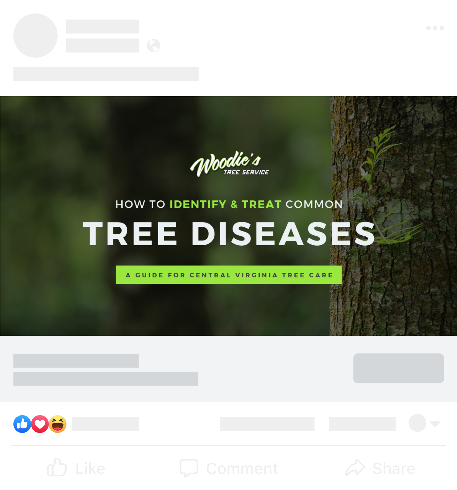 Woodie's Tree Service