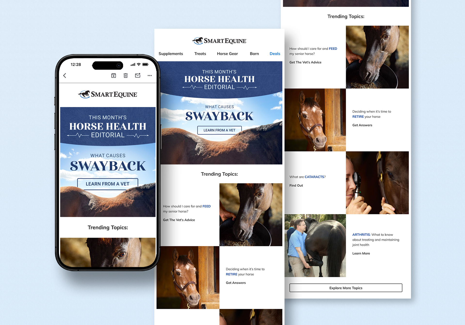 Horse Health Editorial