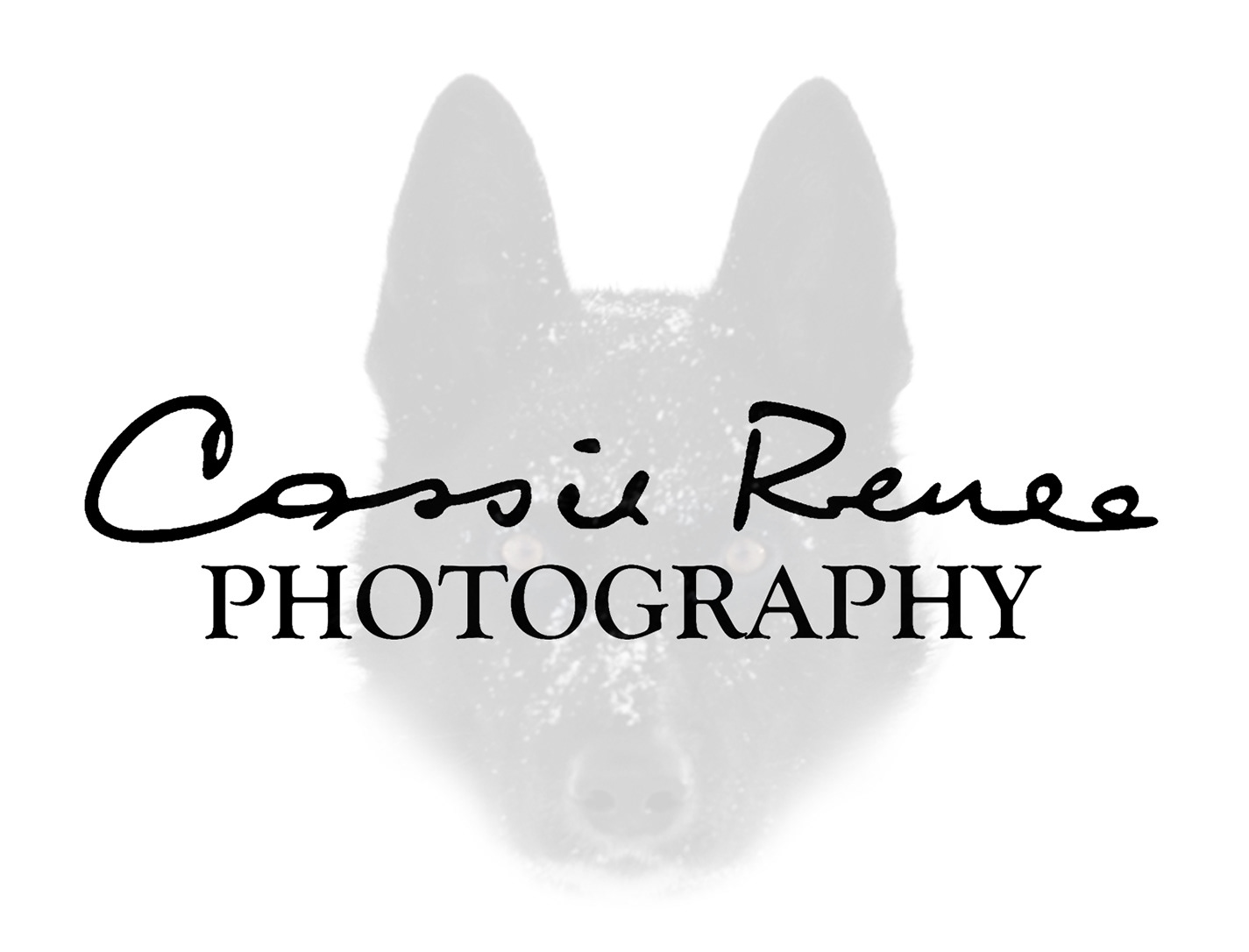 Cassie Renee PHOTOGRAPHY