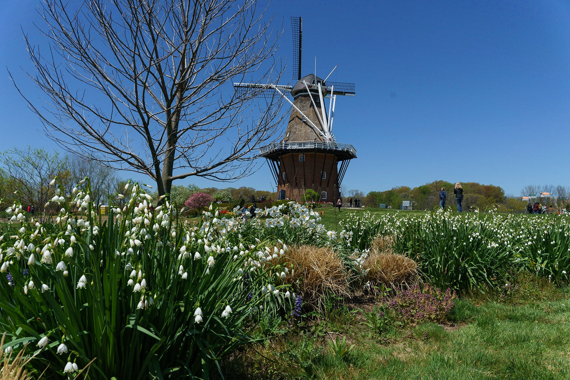 Photo by Jon Roost (www.jonroostphotos.com)