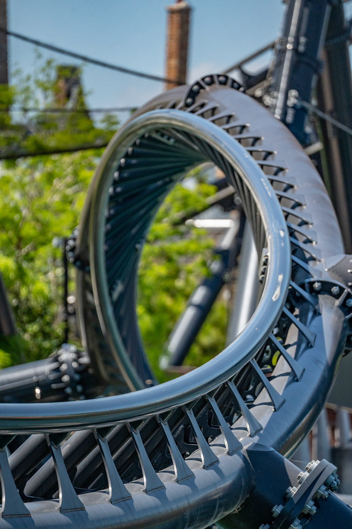 Photo by Jon Roost (www.jonroostphotos.com)