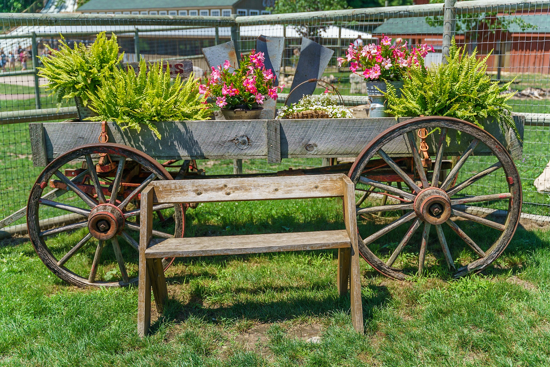 Photo by Jon Roost (www.jonroostphotos.com)