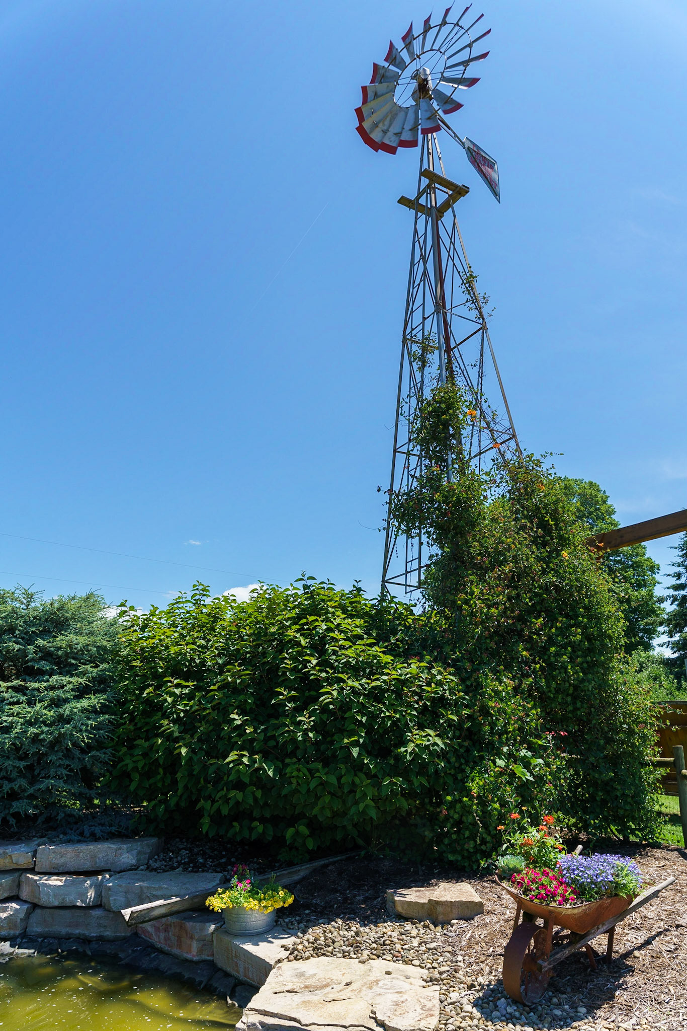 Photo by Jon Roost (www.jonroostphotos.com)