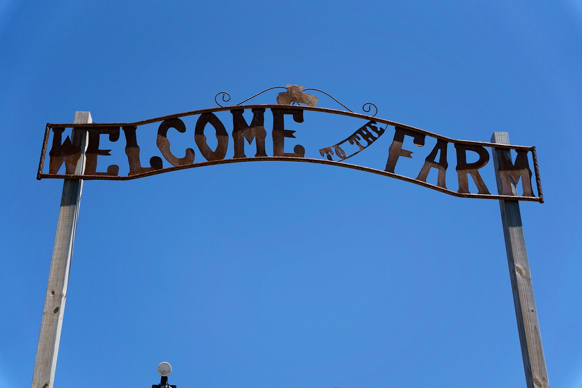 Photo by Jon Roost (www.jonroostphotos.com)