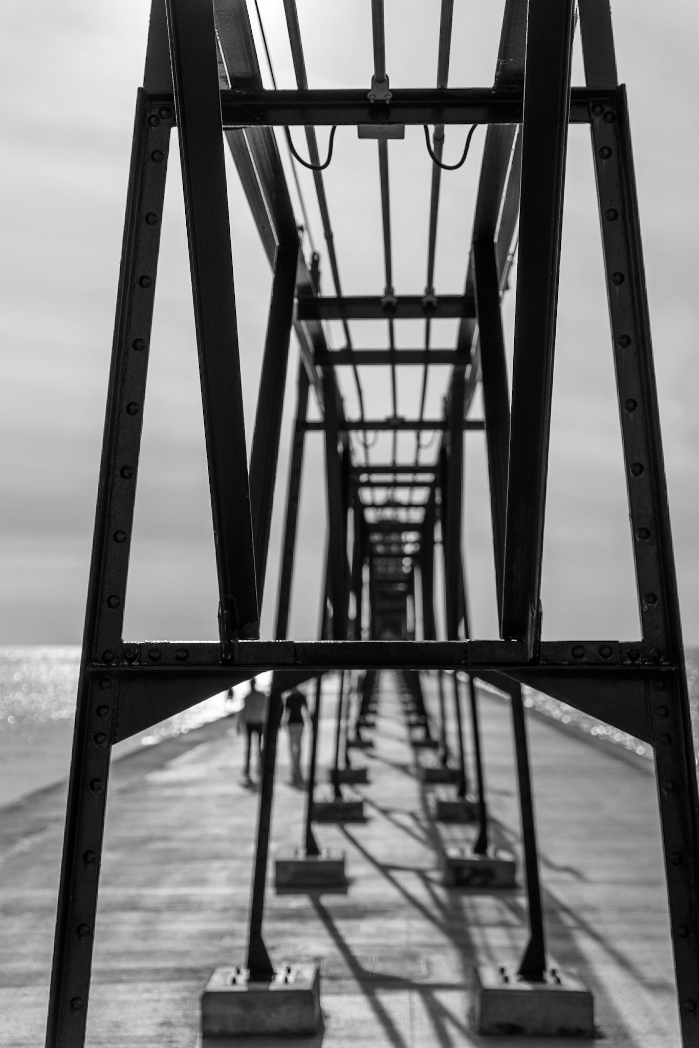 Photo by Jon Roost (www.jonroostphotos.com)