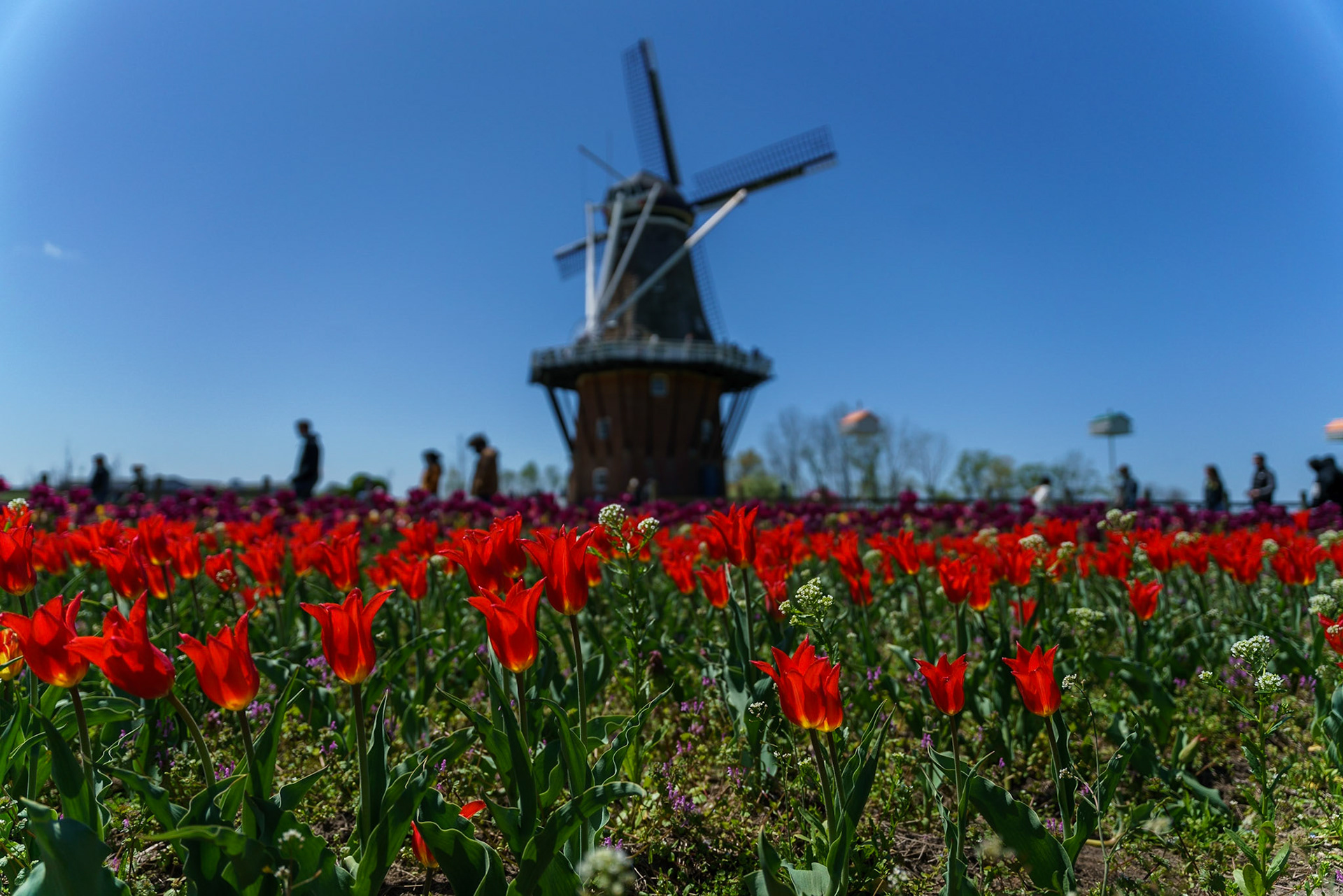 Photo by Jon Roost (www.jonroostphotos.com)