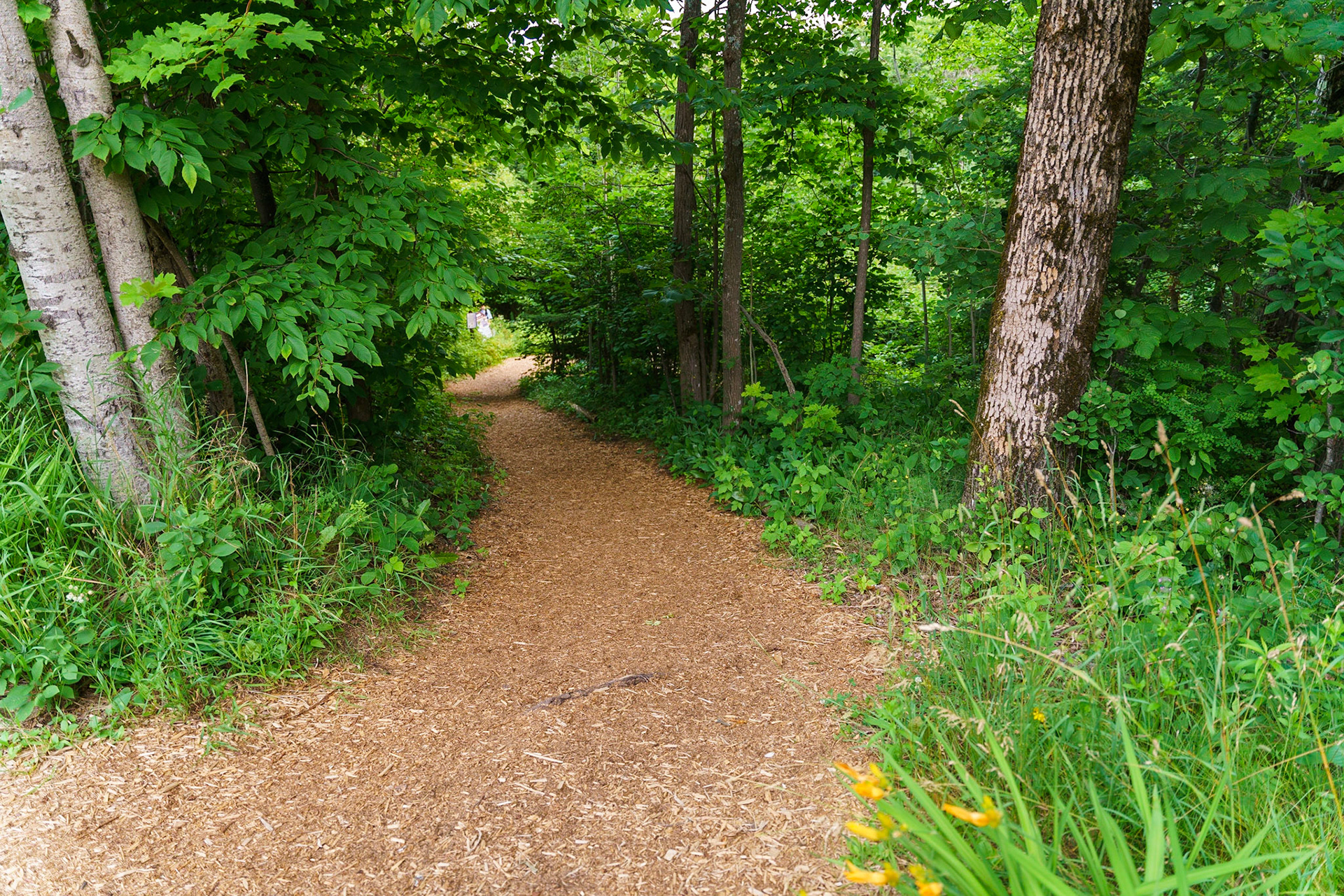 Photo by Jon Roost (www.jonroostphotos.com)