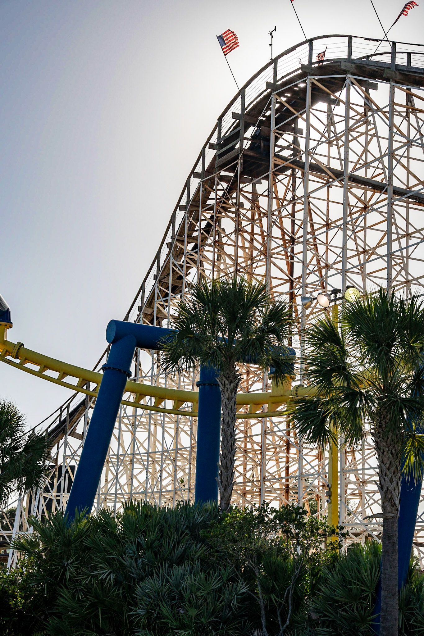 Photo by Jon Roost (www.jonroostphotos.com)