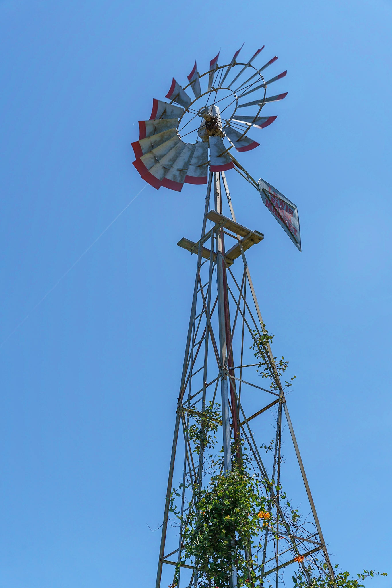 Photo by Jon Roost (www.jonroostphotos.com)
